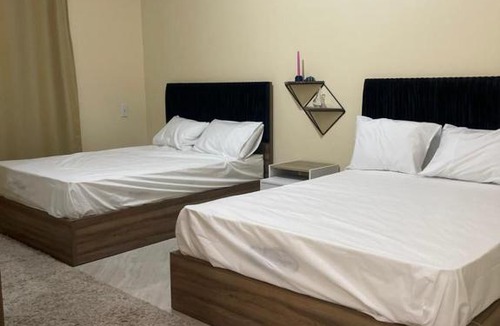 Sheikh Zayed City Apartment | Apartment at Zayed city