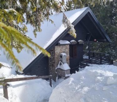 Zrece Apartment | Apartment Bajta - Rogla