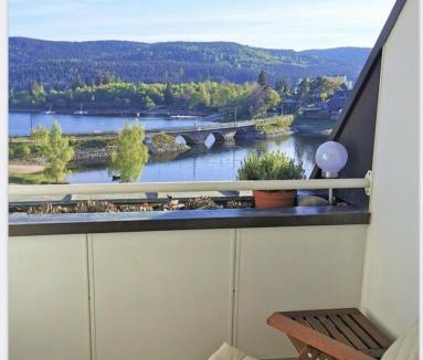 Schluchsee Apartment | Apartment Blackforest-Schluchsee
