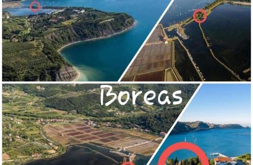 Strunjan Apartment | Apartment Boreas