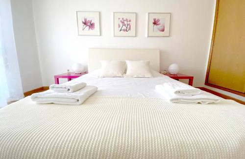Castelo Branco Apartment | Apartment Castelo Branco - Portugal