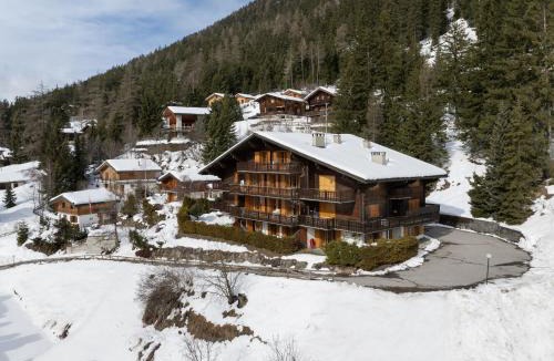 Champex-Lac Apartment | Apartment Colline 3 by Interhome