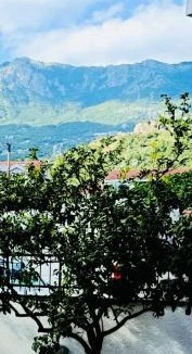 Velji Vinogradi Apartment | Apartment Conner