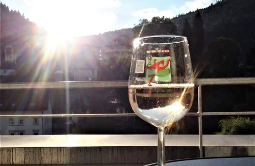 Bad Wildbad Apartment | Apartment 'Enzblick' with Balcony and Wi-Fi