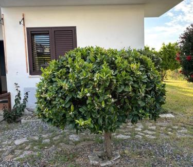 Stignano Apartment | Apartment F24 Stignano Favaco