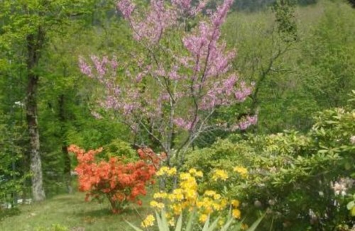Stibiveri Apartment | Apartment/flat - Borzonasca