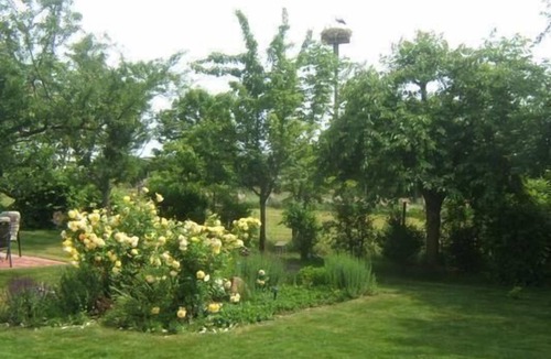 Venningen Apartment | Apartment for 1 persons + 1 child approx. 67 qm in Venningen, Rhineland-Palatinate (German Wine Route)