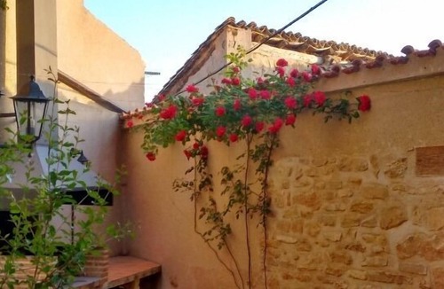 La Codonera Apartment | Apartment for 5 pers. next to the Spanish Tuscany, the Matarraña region.