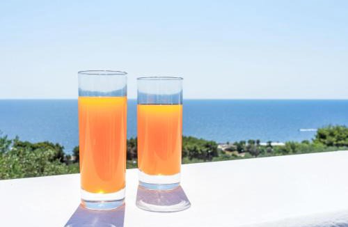 Marina di Andrano Apartment | Apartment Grillo-Villa Anna by Interhome