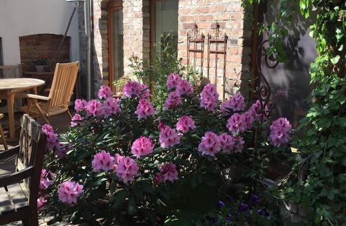Friedrichshagen House | Apartment/house just a few minutes from the lake and beach, conveniently located