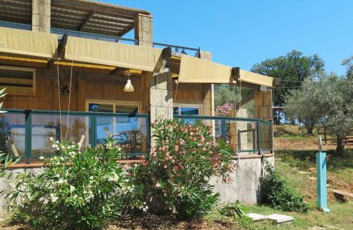 Guardistallo Apartment | Apartment Il Borgo-5 by Interhome