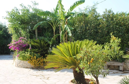Casa Papa Apartment | Apartment in private cottage with garden and privat Pool