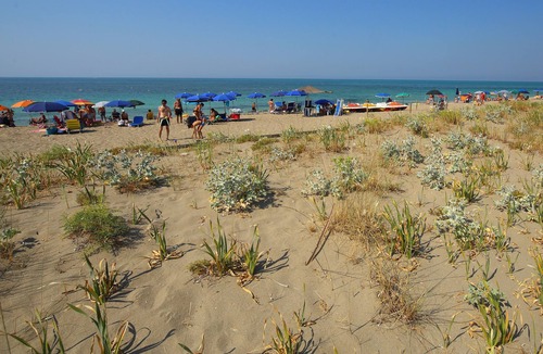 Torre Mozza Apartment | Apartment overlooking the sea and very close to it