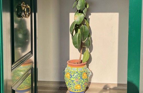 Vaglia Apartment | Apartment