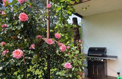 Lesce Apartment | Apartment Ivana B