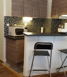 Paris City Center Apartment | Apartment Louvre