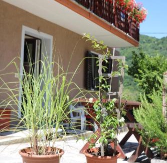 Ciginj Apartment | Apartment Mara