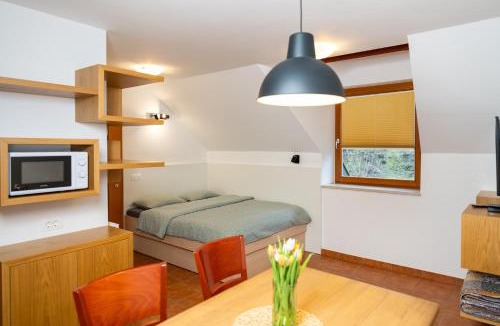 Srednja Vas v Bohinju Apartment | Apartment Markič
