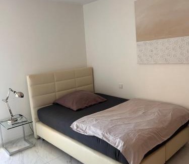 Saarbruecken Apartment | Apartment mit 3 Wohn- Schlafzimmern