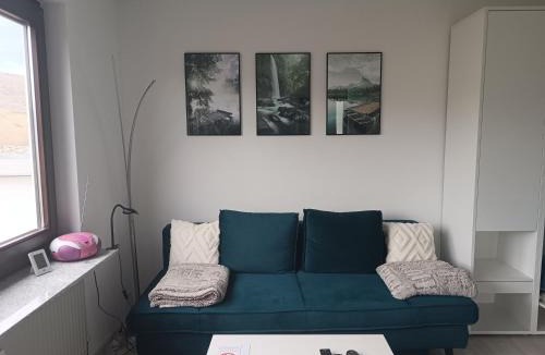 Mainz-Bingen Apartment | Apartment mit Rheinblick
