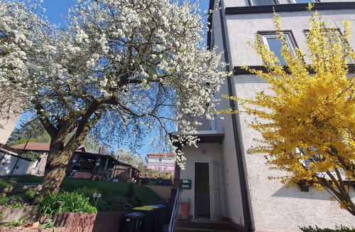 Eisenach Apartment | Apartment "Nice view"