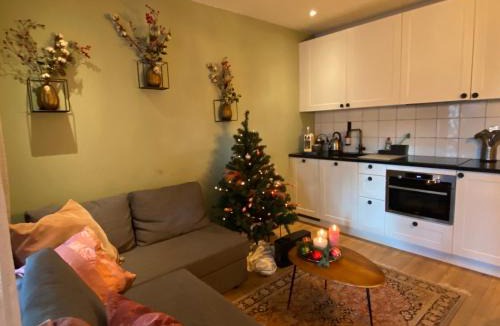 Arnhem Apartment | Apartment Osso 1, Arnhem