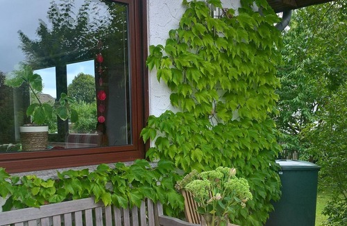 Frankenberg Apartment | Apartment pond area