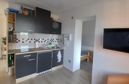 Radovljica Apartment | Apartment Pr Dev