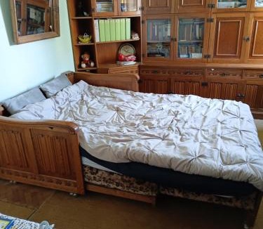 Tirgu Mures Apartment | Apartment