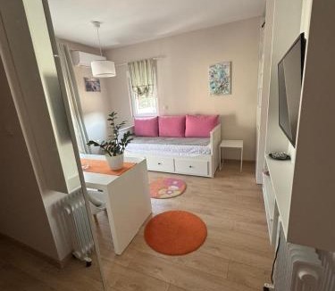 Podmaine Apartment | Apartment Rose