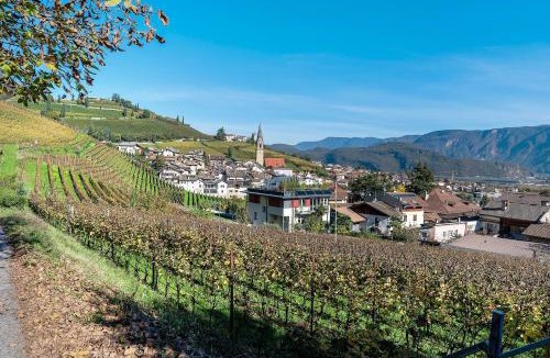 Tramin Apartment | Apartment Rungg