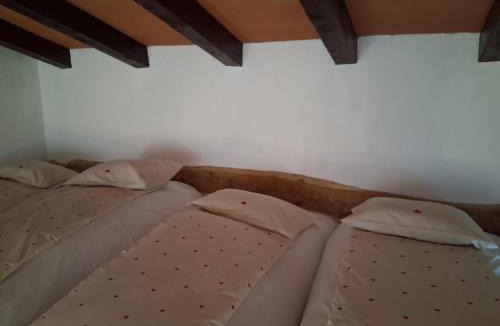 Nova Gorica Apartment | Apartment Senik