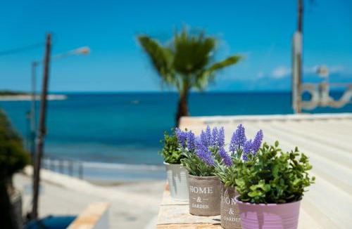 Agios Spyridon Corfu Apartment | Apartment Sofia - Beachfront