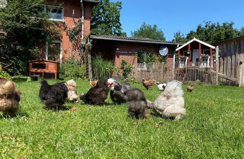 Alt Duvenstedt Apartment | Apartment 'Tiny Rooster Lodge' with Wi-Fi