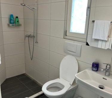 Central Interlaken Apartment | Apartment TOM