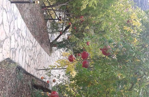 Kumluca Cabin | Apartment with 4 beds: small balcony and large veranda - holiday home Waldwilla-Waldapart
