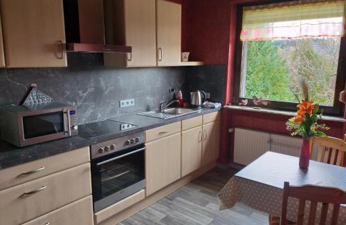 Seelbach-Schutter Apartment | Apartment Zwei Schlafzimmer und absperrbare Fahrradgarage