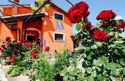 Dragonja Apartment | Apartments between Vineyards & Sea