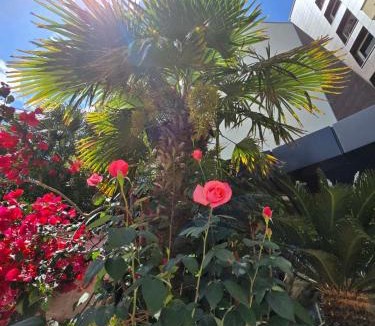 Gospostina Apartment | Apartments M Palace