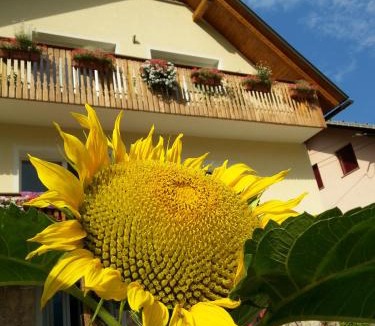 Dovje Apartment | Apartments Mas