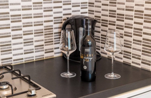 Brasina Apartment | Apartments Versus- Comfort Studio Apartment with Terrace