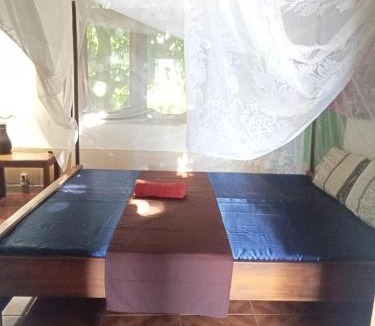 Lovina Hostel | Apollo Hostel