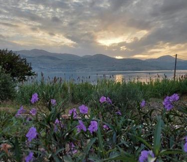 Lixouri Villa | Apollonides Seafront Villa 2 Melete