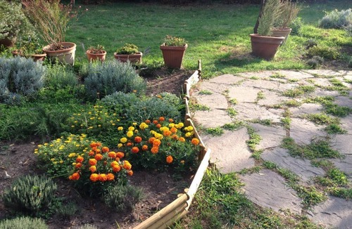 Campiglia Marittima Apartment | Apparamento La Tartaruga, in a Tuscan farmhouse 5 km from the sea at Baratti