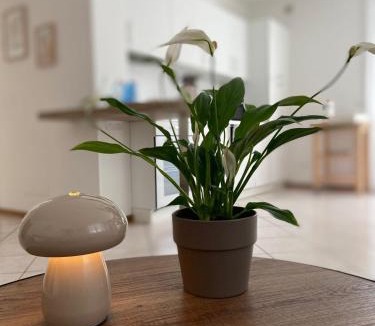 San Michele All'adige Apartment | Appartamento completo, ben attrezzato con giardino