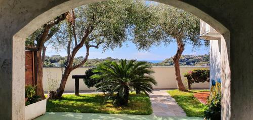 Panza Apartment | Appartamenti Luongo