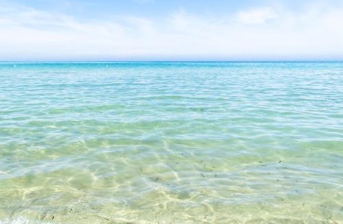 Torre Mozza Apartment | Appartamento fronte spiaggia e vista mare climatizzato