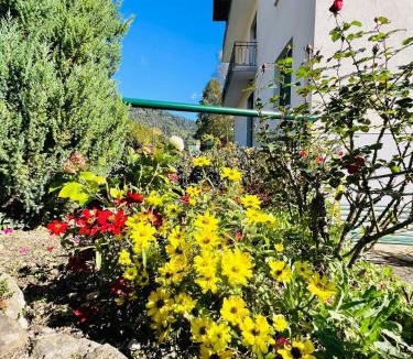 Transacqua Apartment | Appartamento Margherita