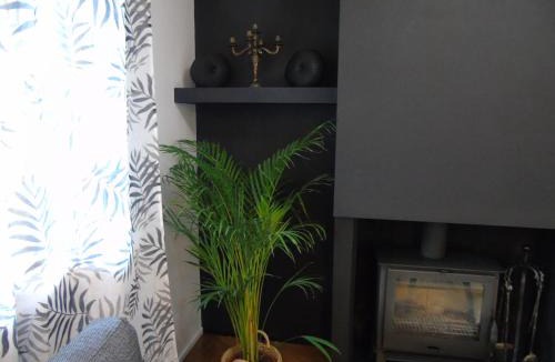 Ravascletto Apartment | Appartamento Nicole