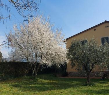 Buggiano Apartment | Appartamento Oliver